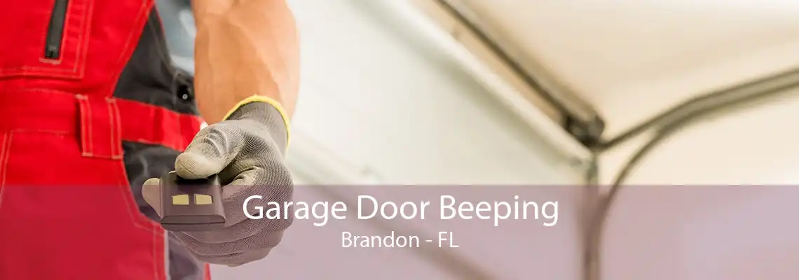 Garage Door Beeping Brandon - FL