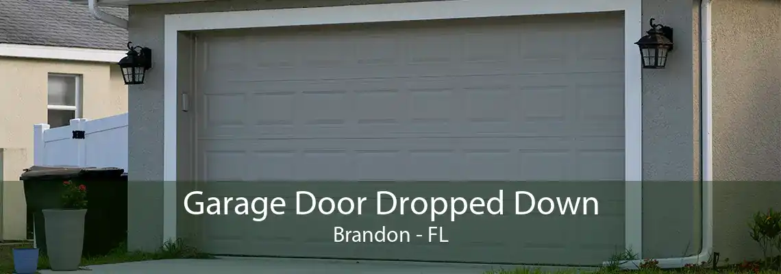 Garage Door Dropped Down Brandon - FL