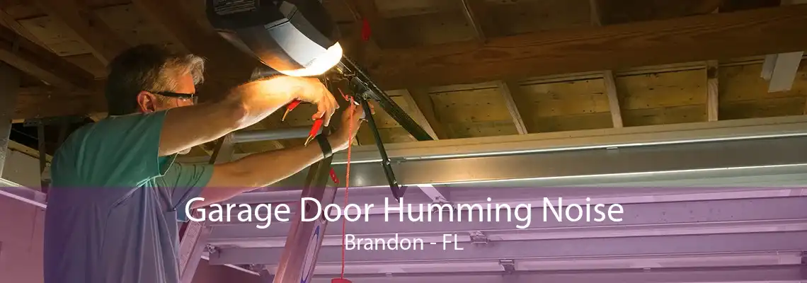 Garage Door Humming Noise Brandon - FL