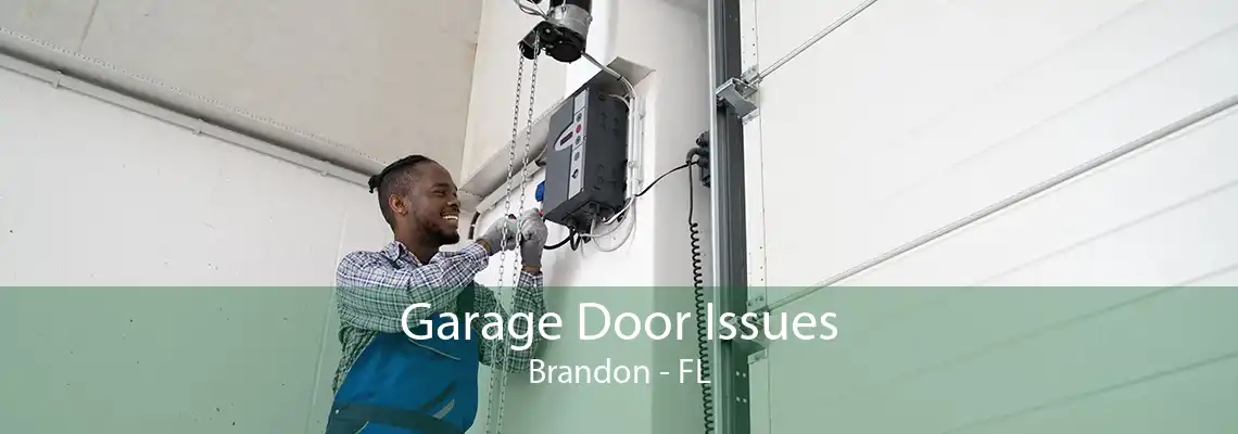 Garage Door Issues Brandon - FL