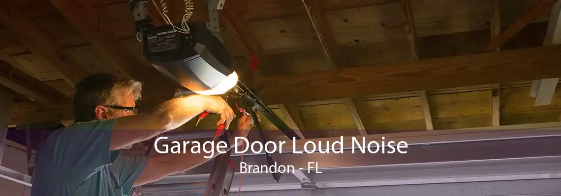 Garage Door Loud Noise Brandon - FL