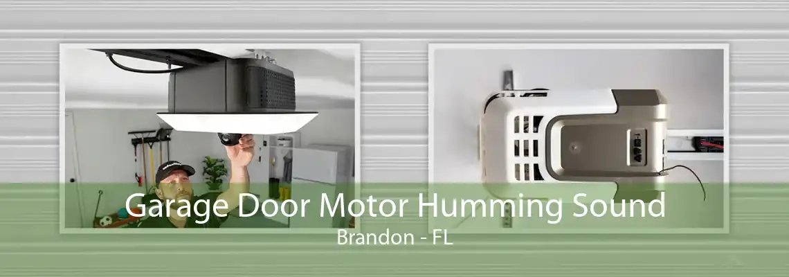 Garage Door Motor Humming Sound Brandon - FL