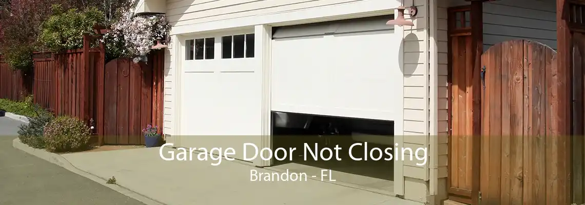 Garage Door Not Closing Brandon - FL