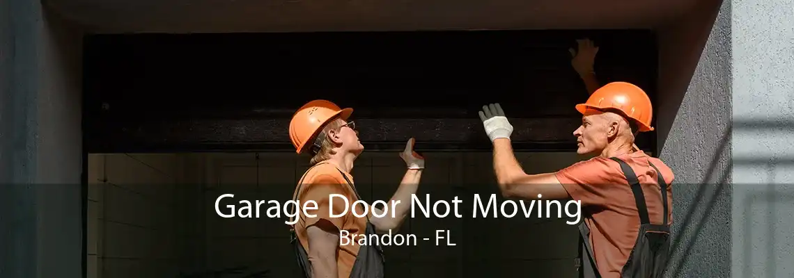 Garage Door Not Moving Brandon - FL