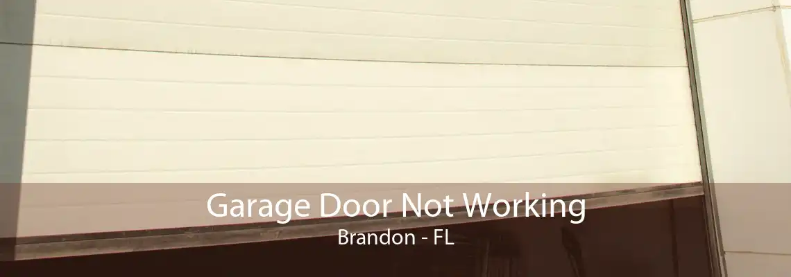 Garage Door Not Working Brandon - FL