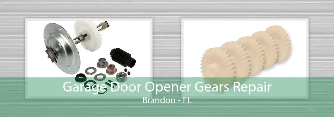 Garage Door Opener Gears Repair Brandon - FL