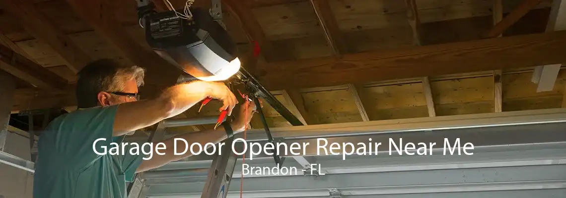 Garage Door Opener Repair Near Me Brandon - FL