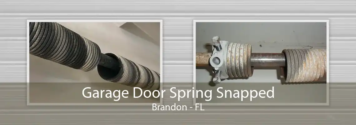 Garage Door Spring Snapped Brandon - FL