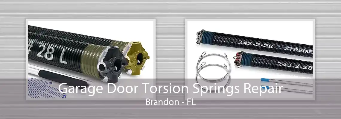 Garage Door Torsion Springs Repair Brandon - FL