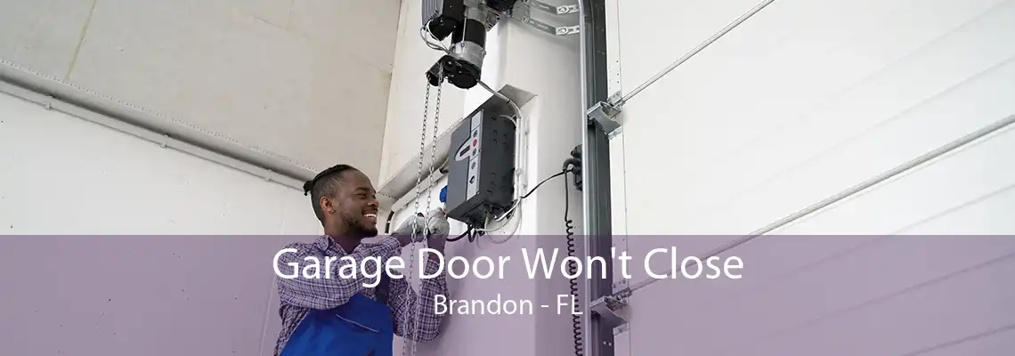 Garage Door Won't Close Brandon - FL