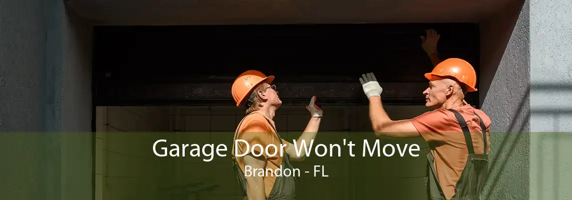 Garage Door Won't Move Brandon - FL