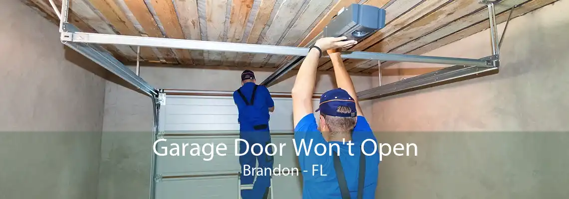 Garage Door Won't Open Brandon - FL
